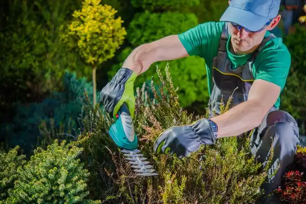 landscaping services Penn Yan